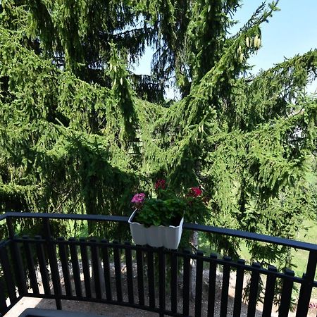 Apartmani Zagi Rakovica Zewnętrze zdjęcie